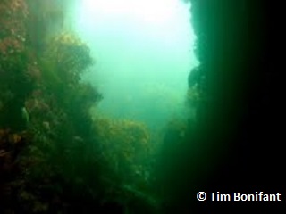 underwater